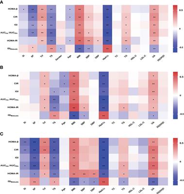 Association between systemic iron status and β-cell function and insulin sensitivity in patients with newly diagnosed type 2 diabetes